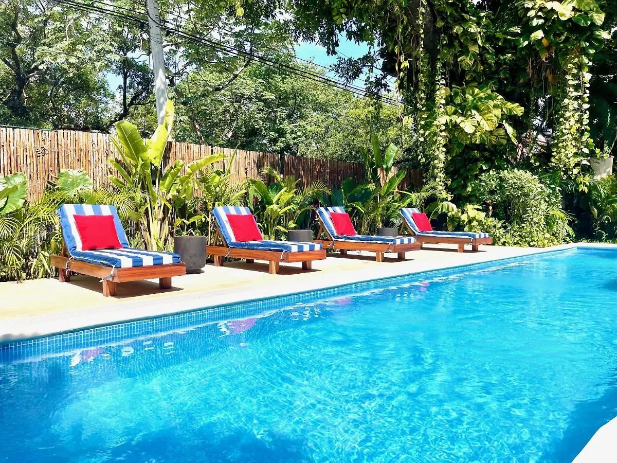 Centro Playa Carmen Apartment Playa del Carmen Mexico